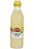 Копия 33-limon-sosu-27